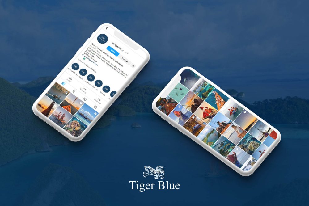 sailtigerblue---Mockup-1